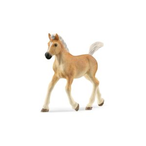 Haflinger Fohlen