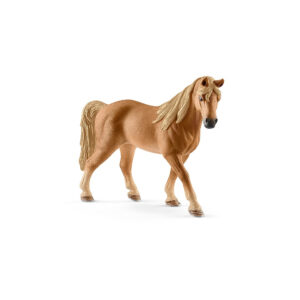 Tennessee Walker Stute