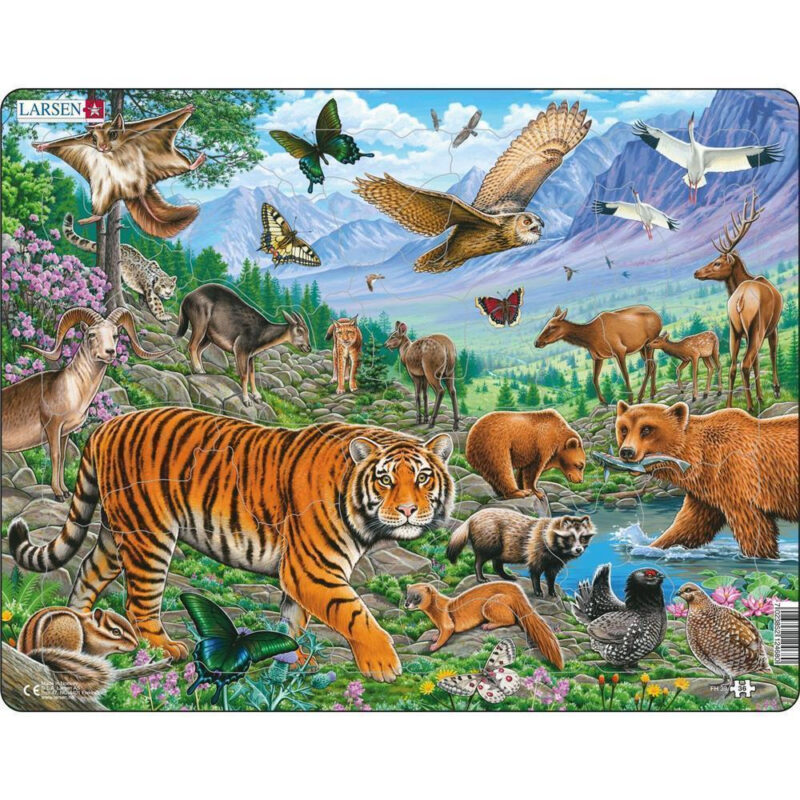 puzzle der amur tiger im sibirischen sommer 36 teile