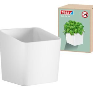 tesa