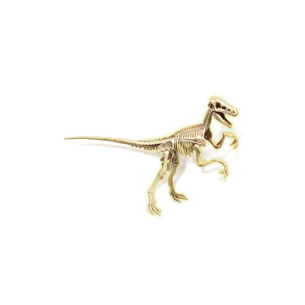 Clementoni - Archeo Ludic Velociraptor Fluorescence – Bild 2