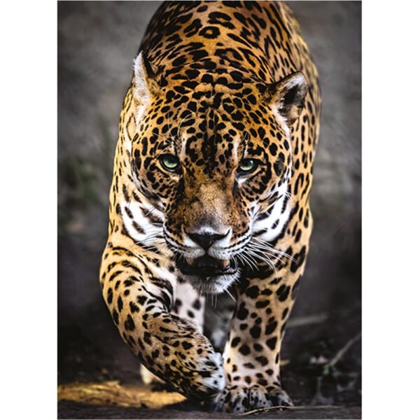 Clementoni - Jaguar – Bild 2